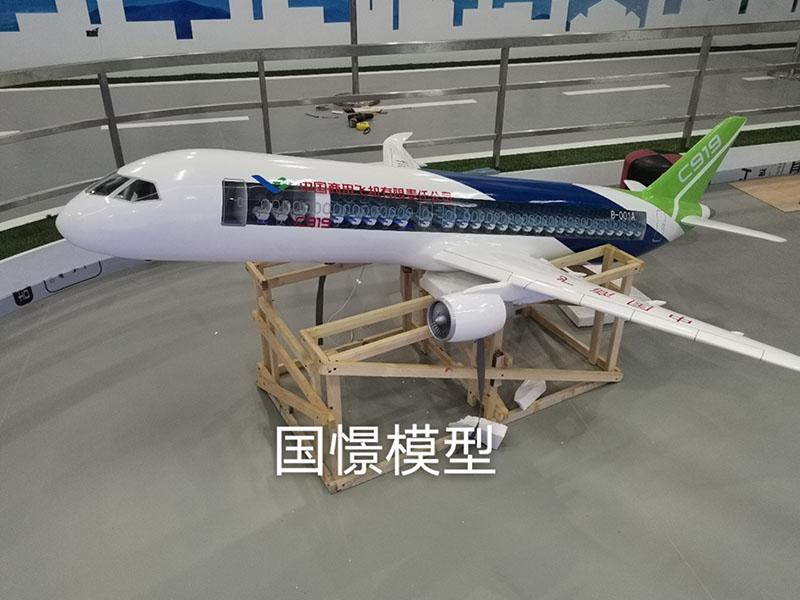 浦城县飞机模型